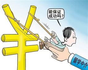 自費留學(xué)陷阱多 選中介要看 資格認(rèn)定書